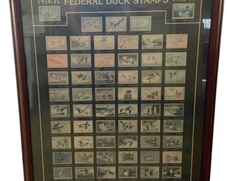 776 - 65th Anniversary Federal Duck Stamps 30"x24" (Description): Framed 65th Anniversary Federal Duck Stamps collection featuring stamps from 1934-35 through 1998-99. This commemorative display showcases the history of federal duck stamps over 65 years. Measures 30 inches by 24 inches.