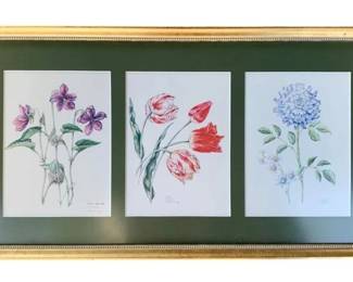 1010 - Framed Picture 10.5"x20" (Description): A framed picture measuring 10 1/2 inches by 20 inches. The piece features a gold-toned frame with green matting displaying three botanical prints arranged horizontally.