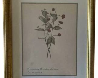 441 - Burning Bush by William Crutchfield Print w/ seal (Description): 15 x 12.5