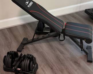 Flybird Adjustable Weight Bench and Ihuan Adjustable Dumbbells