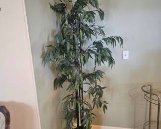 Plant #2 20.00