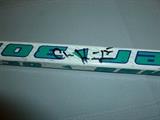 Autographed Seattle Thunderbird hockey stick