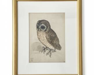 After Albrecht Dürer 'The Little Owl' Framed Art Print