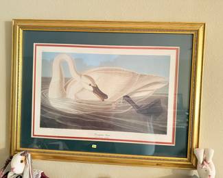 Framed John James Audubon Trumpeter Swan Print $250