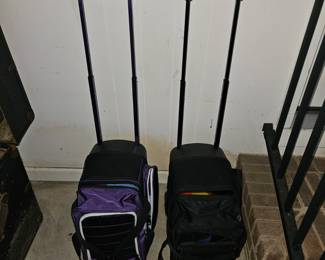Bowling ball and carriers
