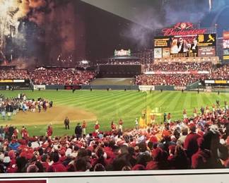 St. Louis Cardinals World Series Champions Commemorative Framed Display fourth image