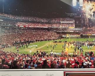 St. Louis Cardinals World Series Champions Commemorative Framed Display third image