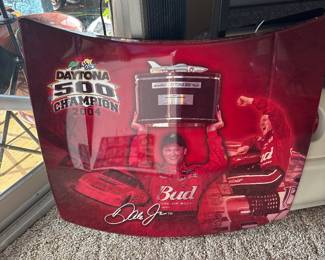 Dale Earnhardt Jr. NASCAR Collectible Hood