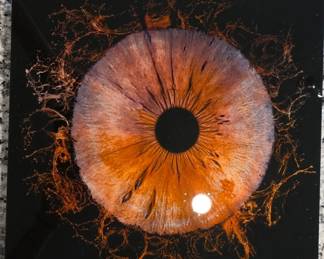 Large Modern Abstract Macro Iris Acrylic Wall Art This piece is a custom macro iris photograph, created by Iris Galerie . , gallery-format custom print. eatures an added premium effect (often called an "explosion" or "solar flare" design background) and has a glossy finish consistent with a polished acrylic plexiglass or resin block mount.