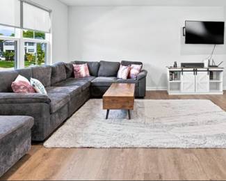 Sectional & footrest, rug, coffee table, pillows, TV, TV Stand/cabinet
