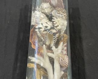 Lot 393h Lot of seashells in glass display cylinder