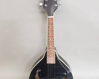 Lot 150 Johnson mandolin model MA100B
