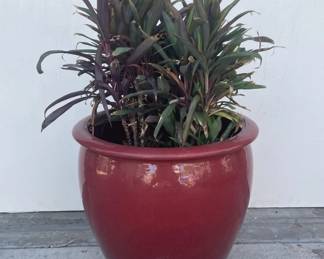 200 Lot 420h Large red glazed ceramic pot with plant