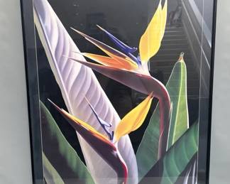 Lot 221 Brian Davis San Antonio Museum or Art Exhibition