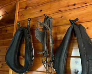 Horse tack