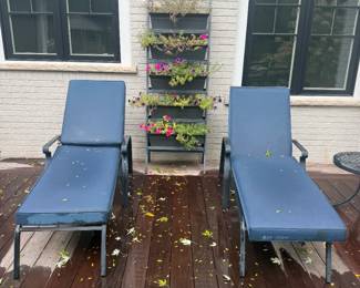Two black aluminum chaise lounge chairs with the BEST waterproof outdoor cushions I have ever owned!