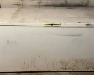 Large Gibson Brand Freezer