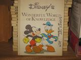 set of 20 Disney Books