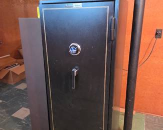 Gun safe