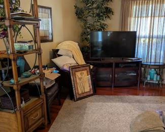 Televisions, tv stands, artwork, shelving units, area rugs, accent tables