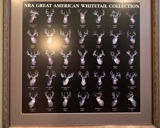 NRA Great American Whitetail Collection Framed Print