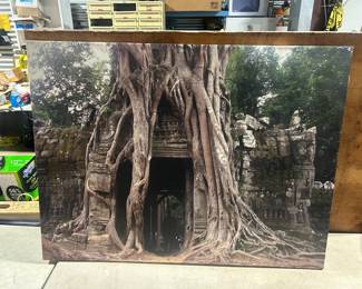 Large, unique photo