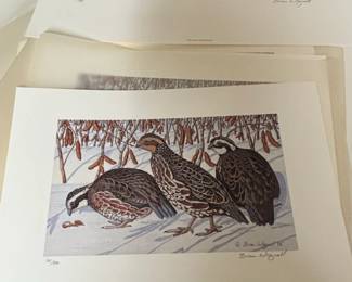 Brian Wignall Limited Edition Bird Prints