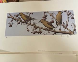 Brian Wignall Limited Edition Wildlife Prints third image