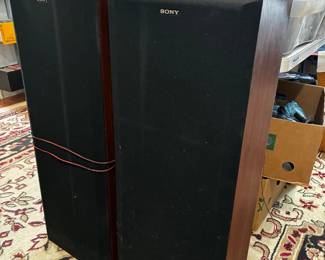 Pioneer speakers