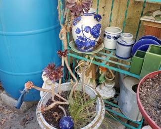 Plants and decorative pots