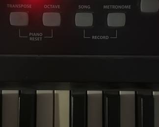 Full-size Williams Allegro 88-key electronic digital piano keyboard in excellent working condition with a bright red LED interface display panel. Features realistic weighted keys, built-in speakers, headphone output, and multiple instrument sound profiles (Piano, Electric Piano, Organ, Bass). 