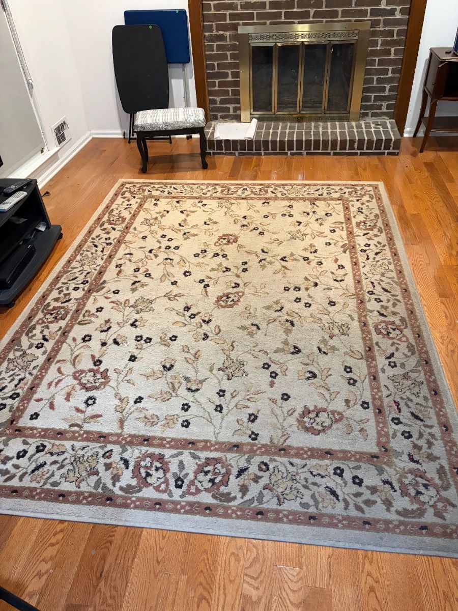 Large area rug in living room