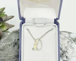 15 BlackHillsTwoToneLetterDPendantNecklace