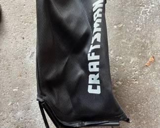 Lot 16: Grass Clippings Bag