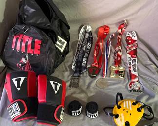 Boxing Wrestling Jujutsu
