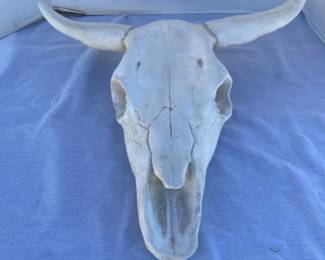 Skull Wall Sculpture