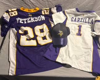 Minnesota Vikings Fan