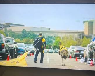 Samsung 50 TV
