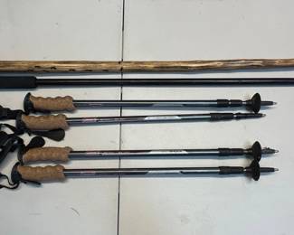 Aluminum Trekking Poles and Walking Sticks