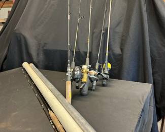 Fishing Rod and Reel Combos