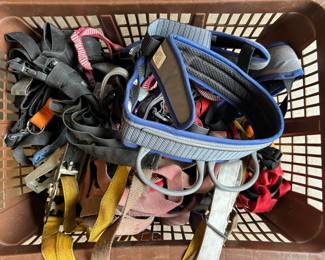 Harness, Straps, and Webbing