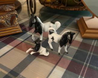 Miniature horses