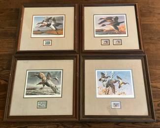Colorful Flying Ducks