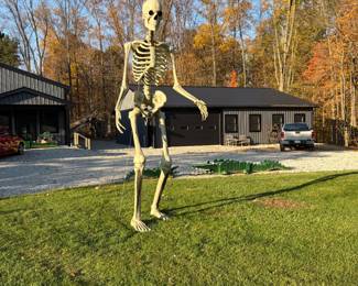 Giant posable yard skeleton.