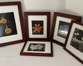 Framed Original Floral Photography
