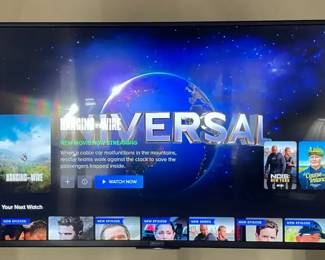 49 Bravia Sony Flat Screen