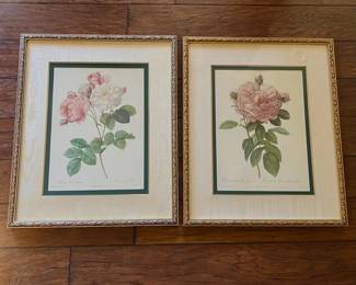 The Bombay Company Redout Framed Rose Prints 23 x 28 Pair