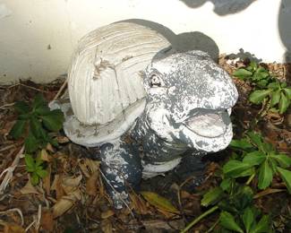 Turtle
