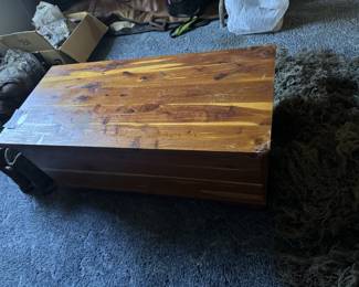 chest