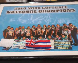 BCD066 - HPU 2010 NCAA SOFTBALL NATIONAL CHAMPS